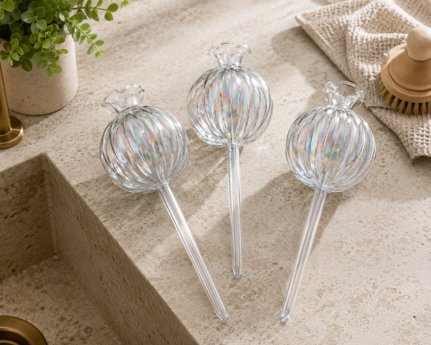 The Clear Self-Watering Globe 3 Set
