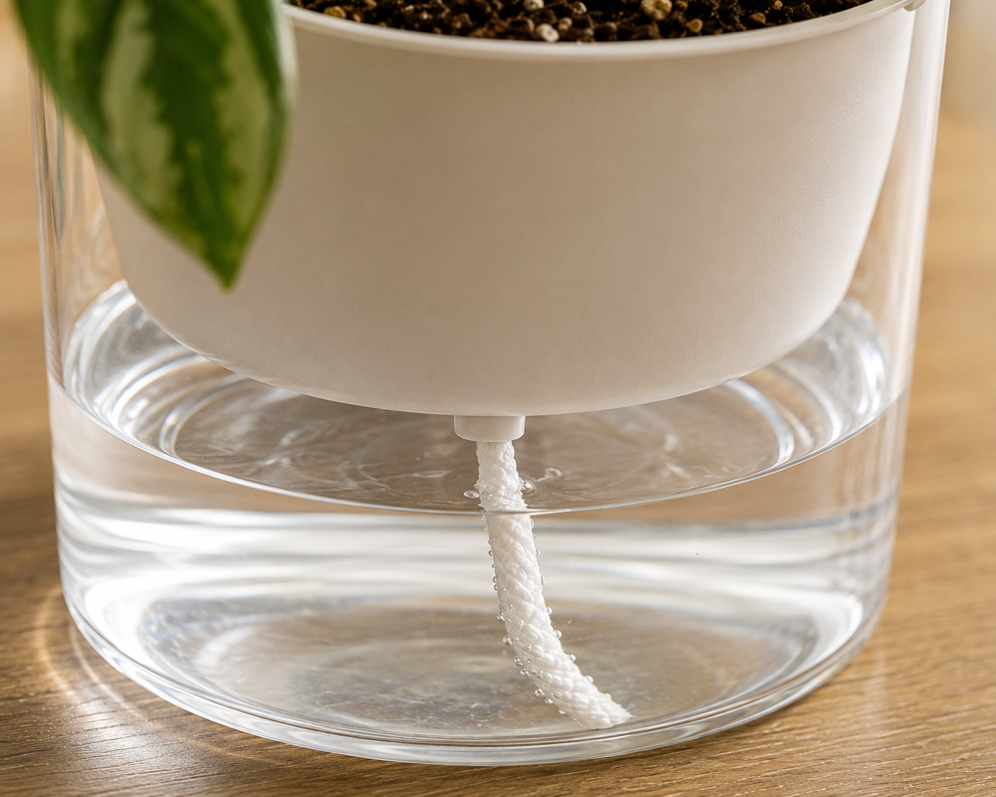 The Plant Club Wicking Cord