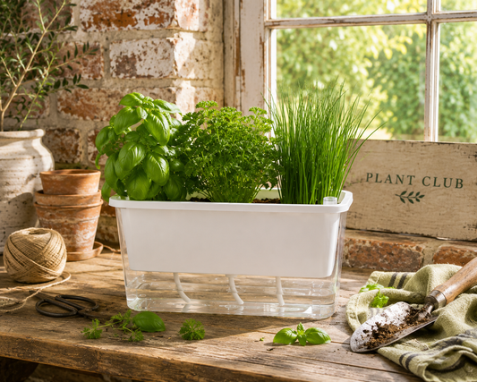 The Kitchen Garden Self-Watering Planter