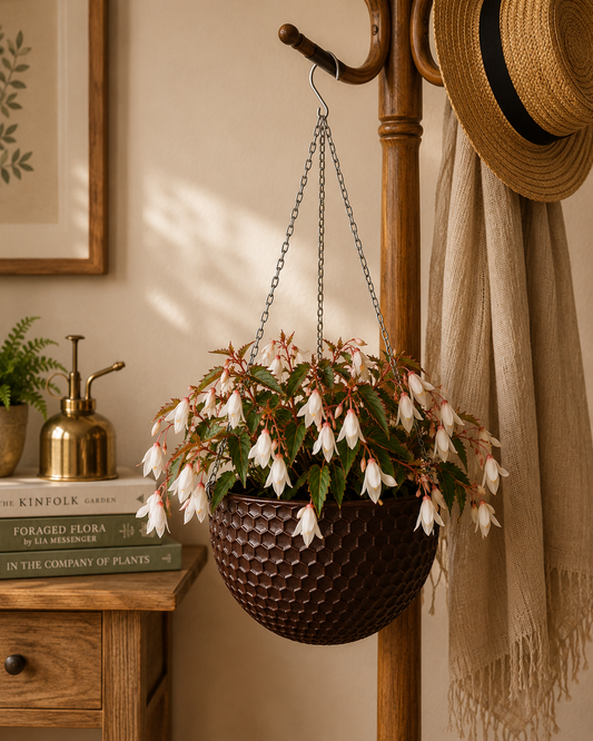 Haven Self-Watering Hanging Basket - Medium Set of 2