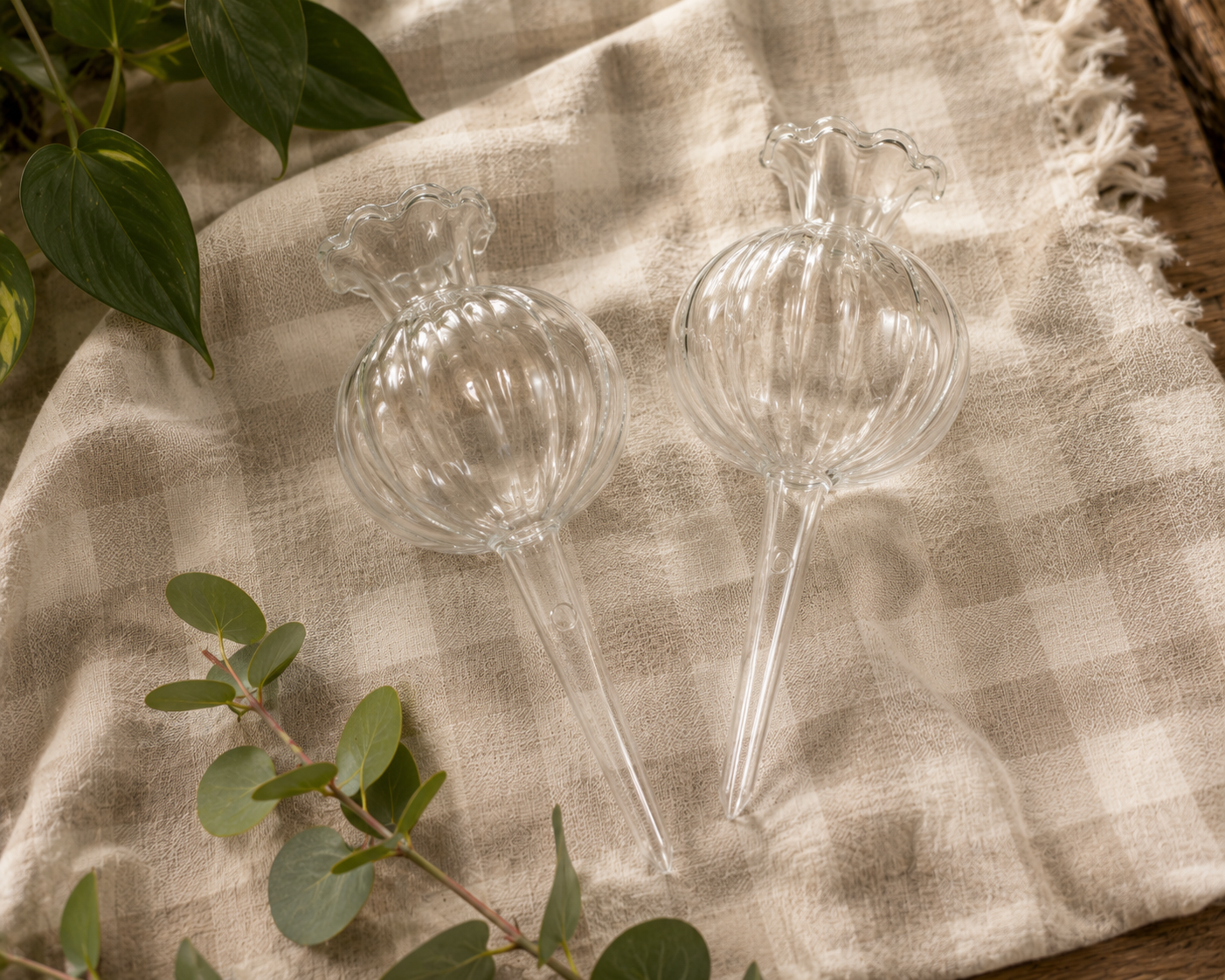 The Large Clear Self-Watering Globe 2 Pack