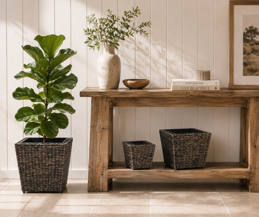 The Hearth Water Hyacinth Planter Set - 3 Piece