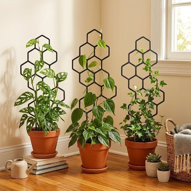 Honeycomb Plant Climbing Trellis – Set of 3