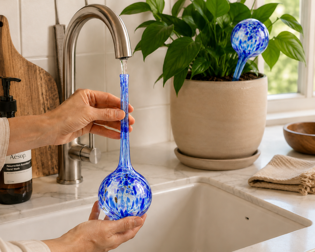 Lagoon Self-Watering Globes – Set of 4
